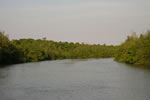 Rio do Inferno - Ilha de Boipeba