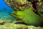 Boca da Barra - Ilha de Boipeba